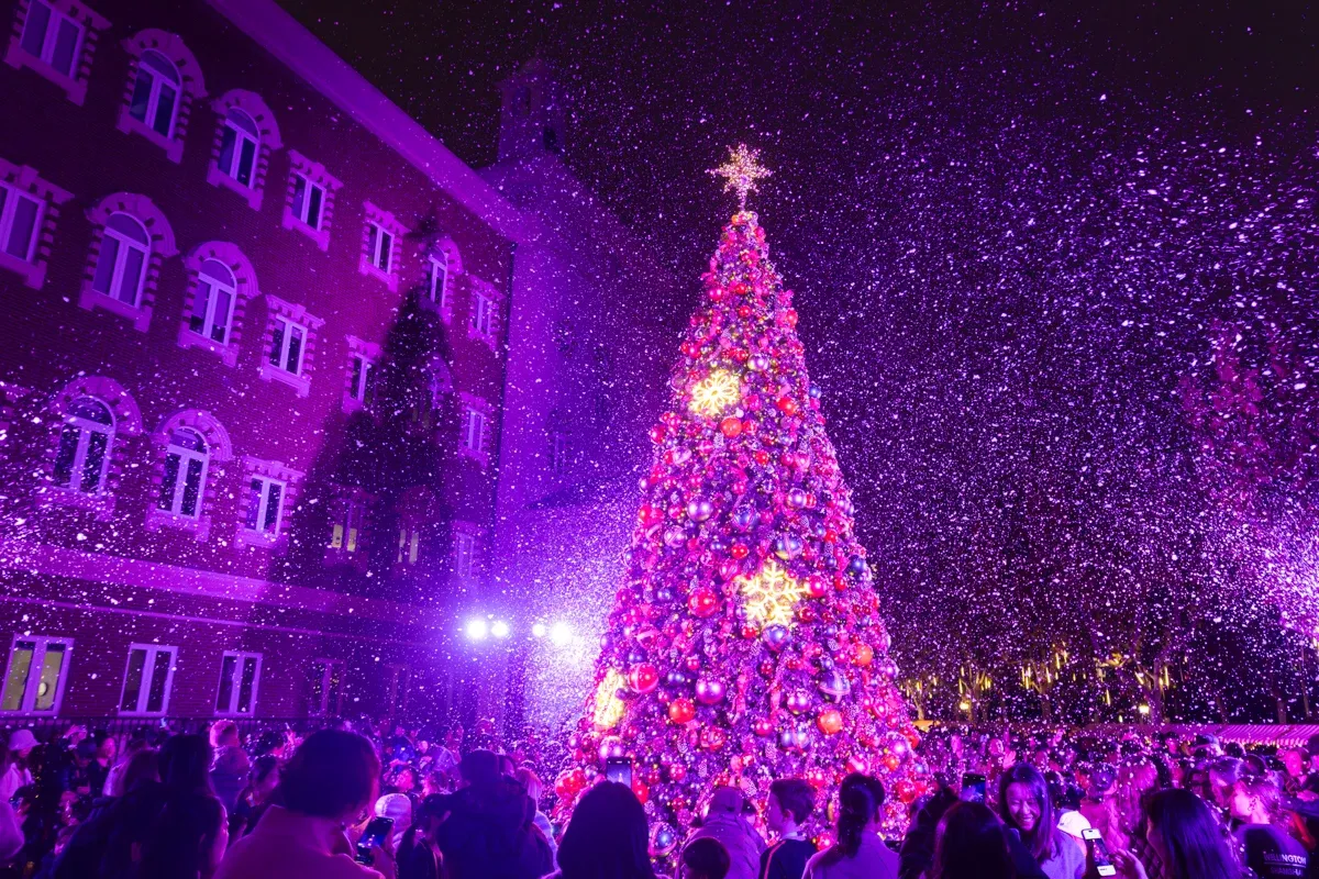 Christmas Tree Lighting 2024